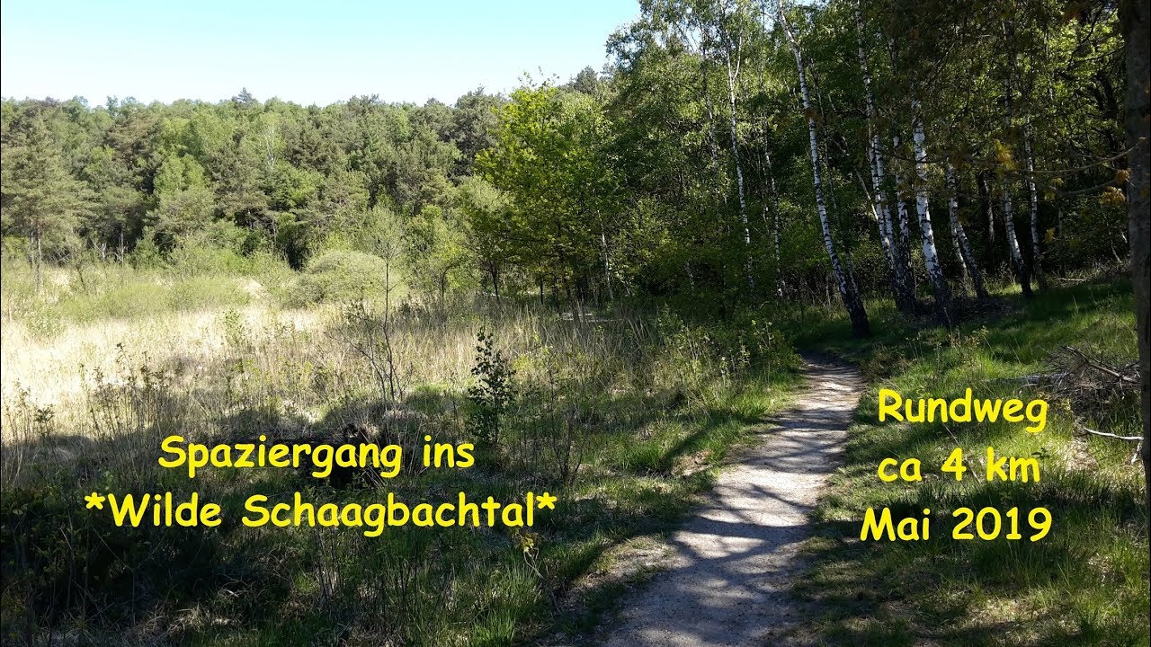 Spaziergang *Wildes Schaagbachtal* Birgeler Urwald bei Wassenberg Mai 19