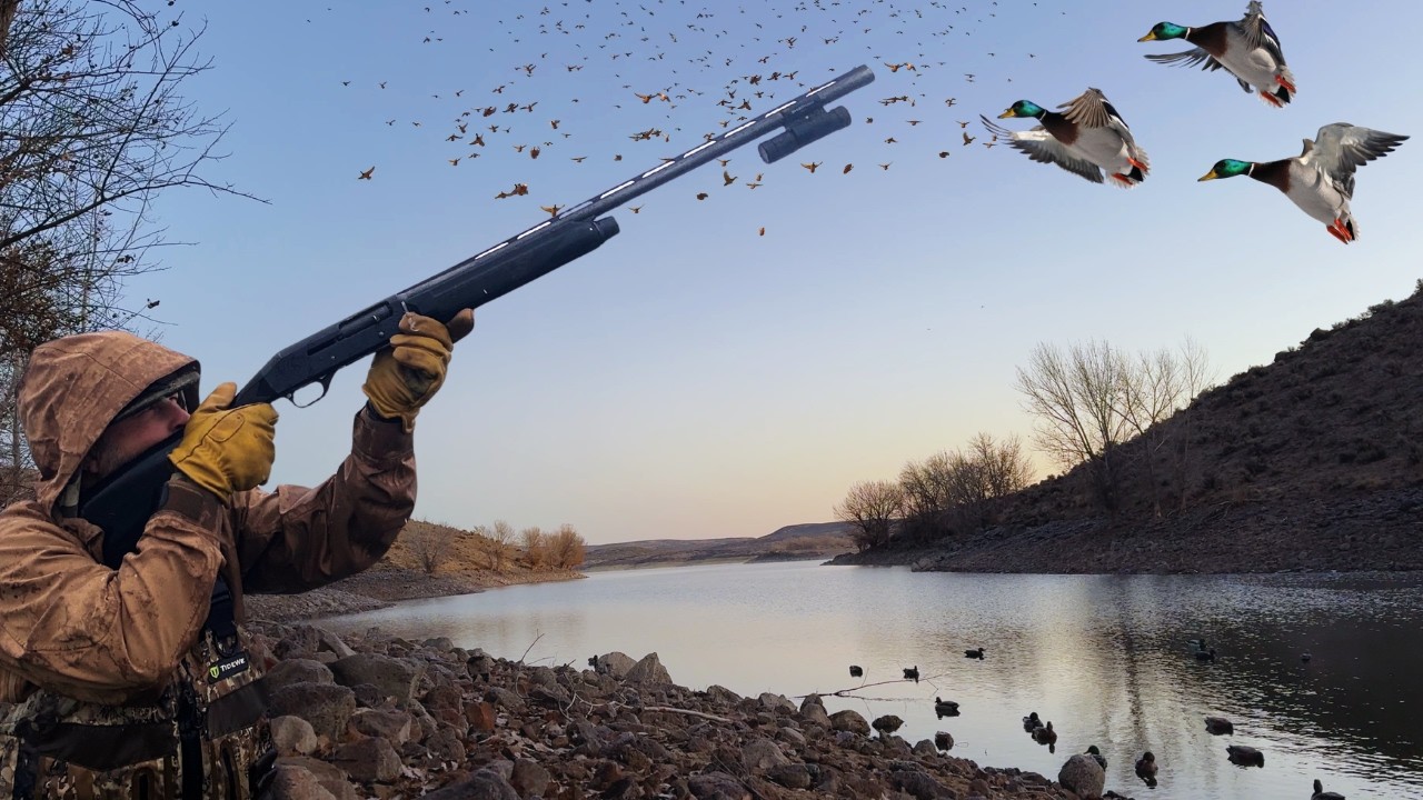 This REMOTE RIVER holds THOUSANDS of MALLARDS