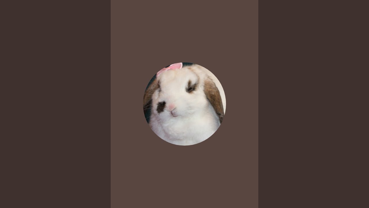 Creamy Bun Bun Popcorn is live! Poll: Are You Happy?