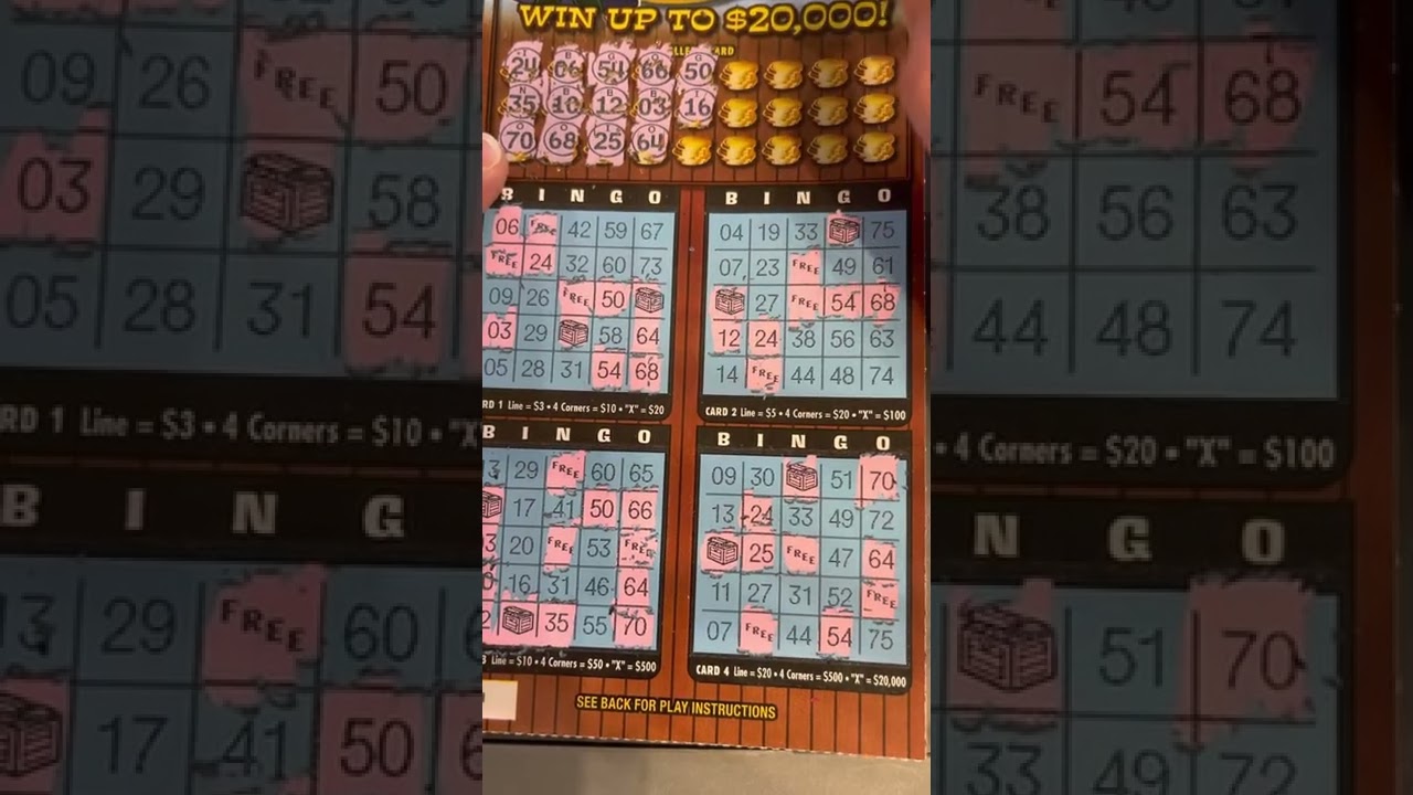 Wisconsin Scratcher * Another $3 Scratch Yer Booty Bingo * Lottery