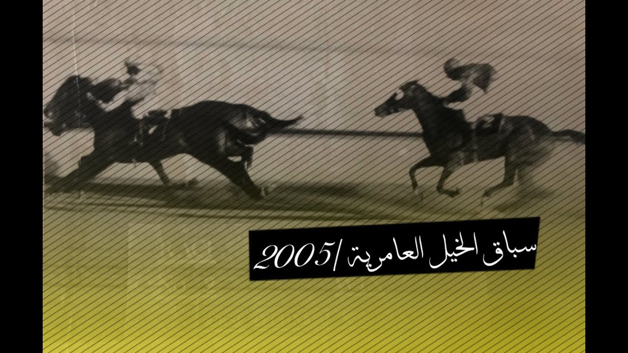 وليد رستم | سباق الخيل العامرية | موسم 2005 - 2006