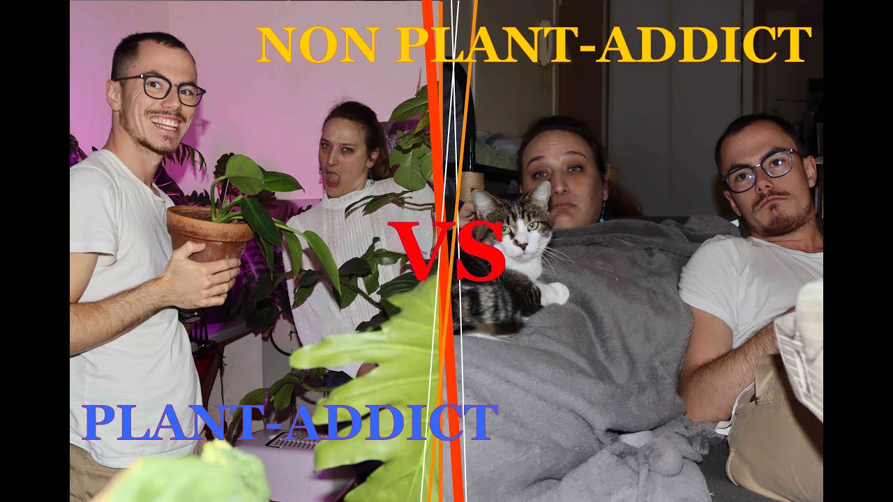 PLANT-ADDICT VS NON PLANT-ADDICT (Avec humour encore une fois)