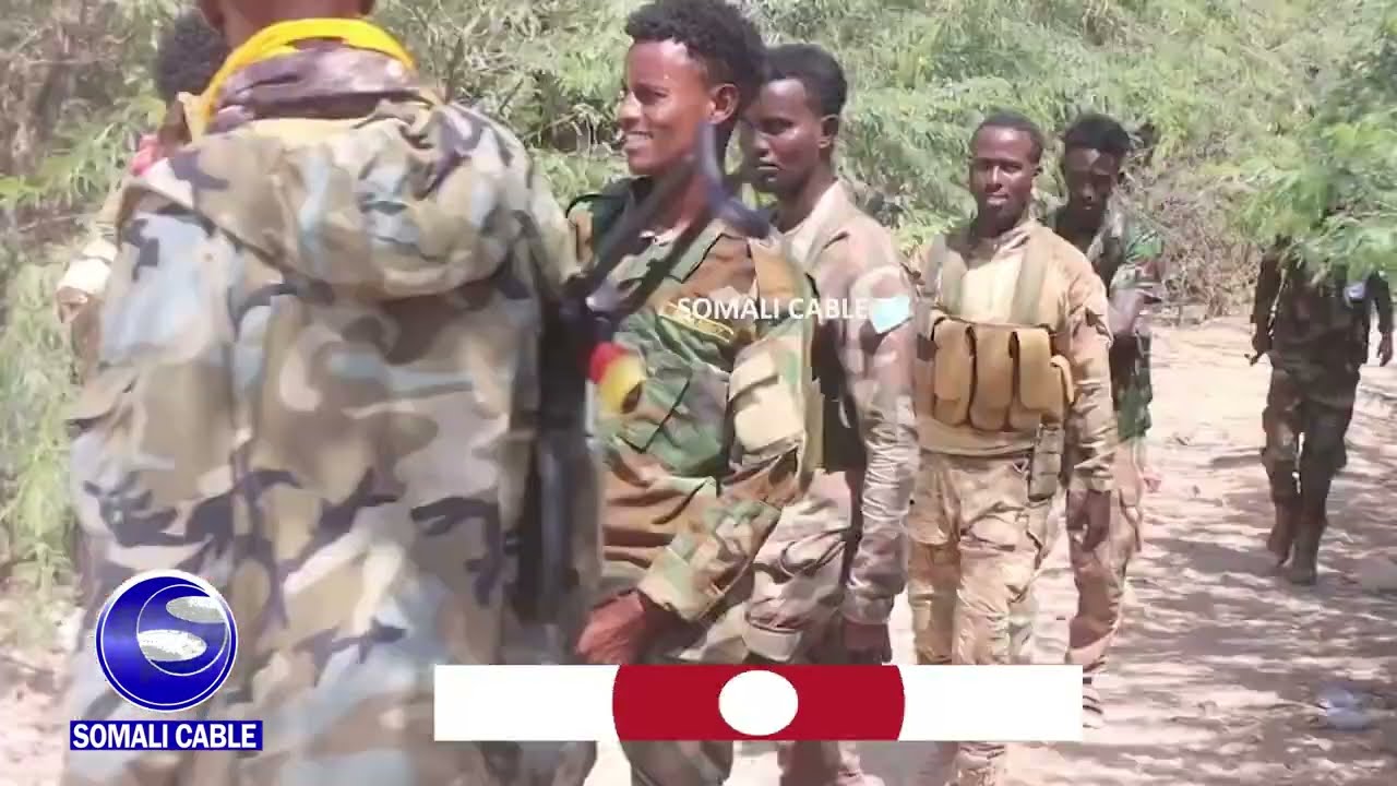 Ciidamada Mootooleyda Gobolka Shabeellaha Hoose oo fuliyey howlgalo.