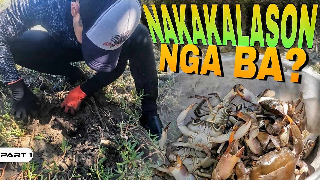 P1-NAKAKALASON NGA BA? - EP1259