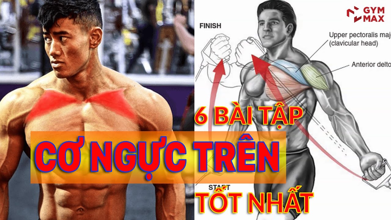 6 BÀI TẬP NGỰC TRÊN NHANH NHẤT HIỆU QUẢ NHẤT CHO DÂN THỂ HÌNH || GYM MAX