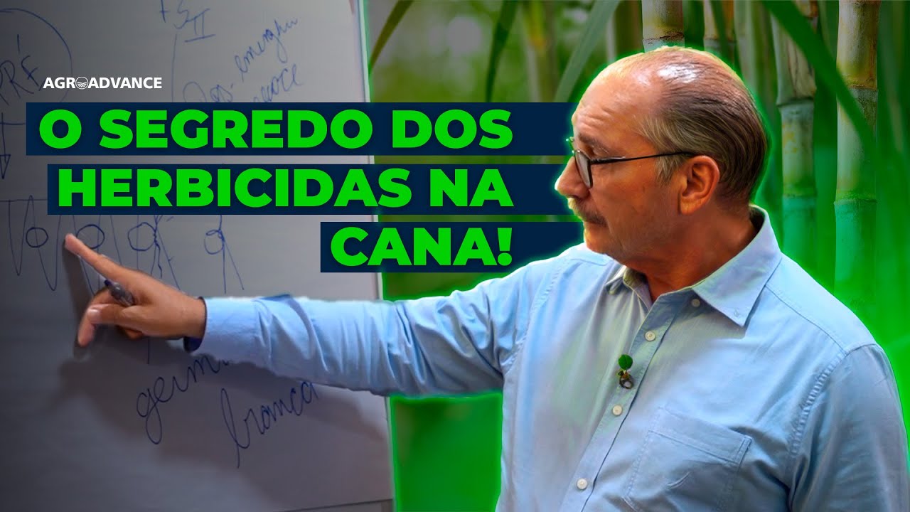 Herbicidas na Cana-de-Açúcar: Como Escolher e Posicionar Corretamente