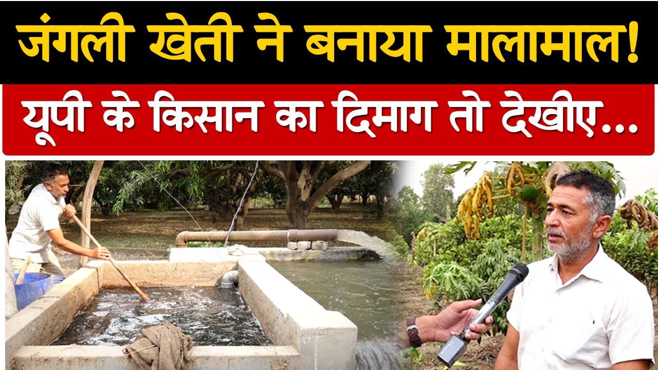 जंगली खेती ने बदली तकदीर, किसान के दिमाग को salute करना तो बनता है। Mitti मिट्टी 7500312013