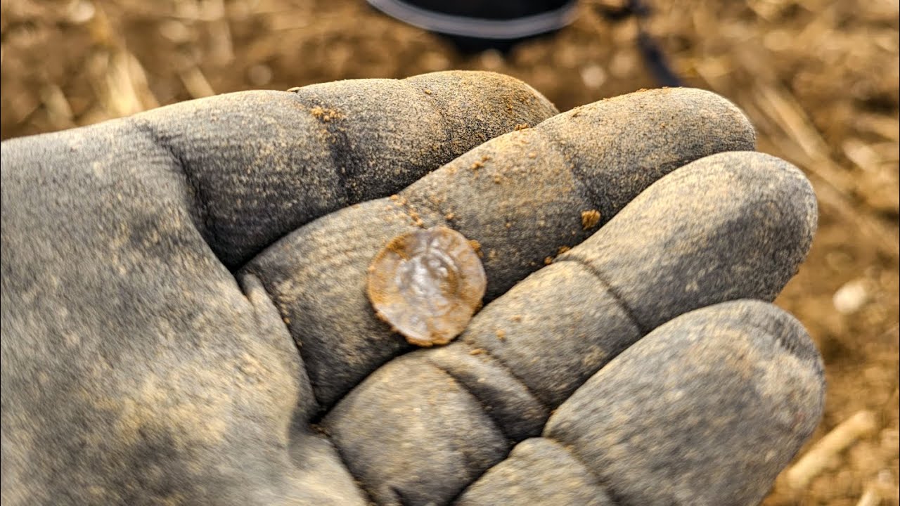 Pola w Lincolnshire. Prawdziwa gratka dla poszukiwaczy. #detectorist #detectinglife #detector