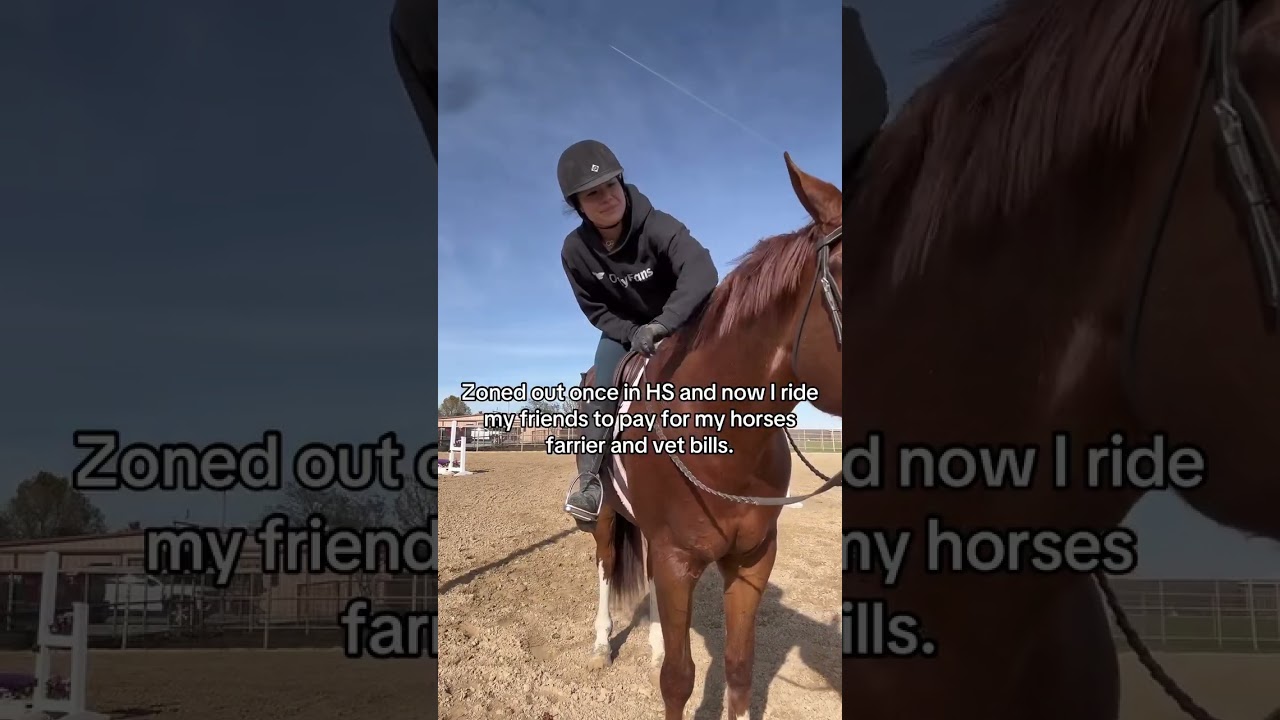 Good horse 🥰❤️ 