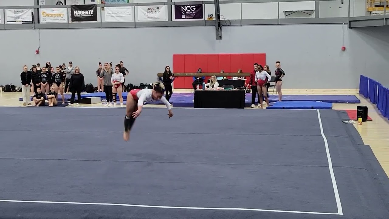 Floor 8.225 Bravo Classic L10 1-16-26
