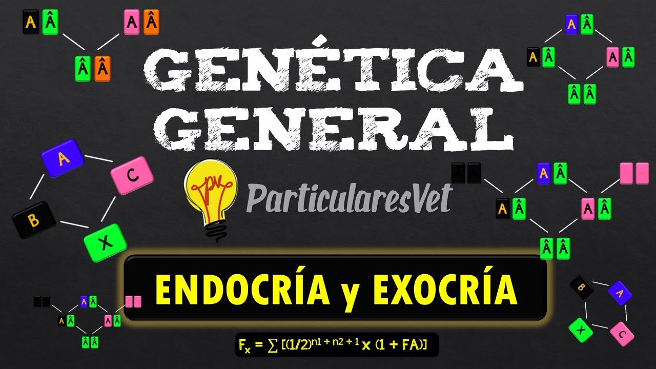 📋GENÉTICA GENERAL 📌ENDOCRÍA Y EXOCRÍA 📌Consanguinidad o Endogamia y cruzamientos