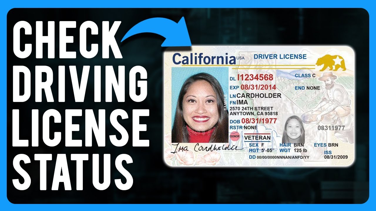 How to Check Driving License Status (A Step-by-Step Guide)
