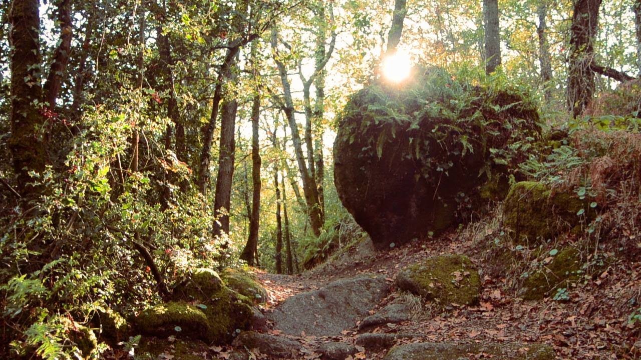 L'Automne - Fabrique à chanson - St-Laurent-sur-Sèvre