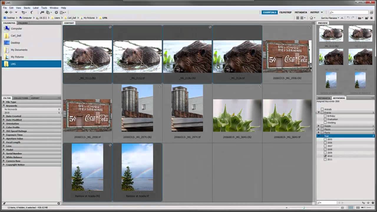 Using Keywords in Adobe Bridge
