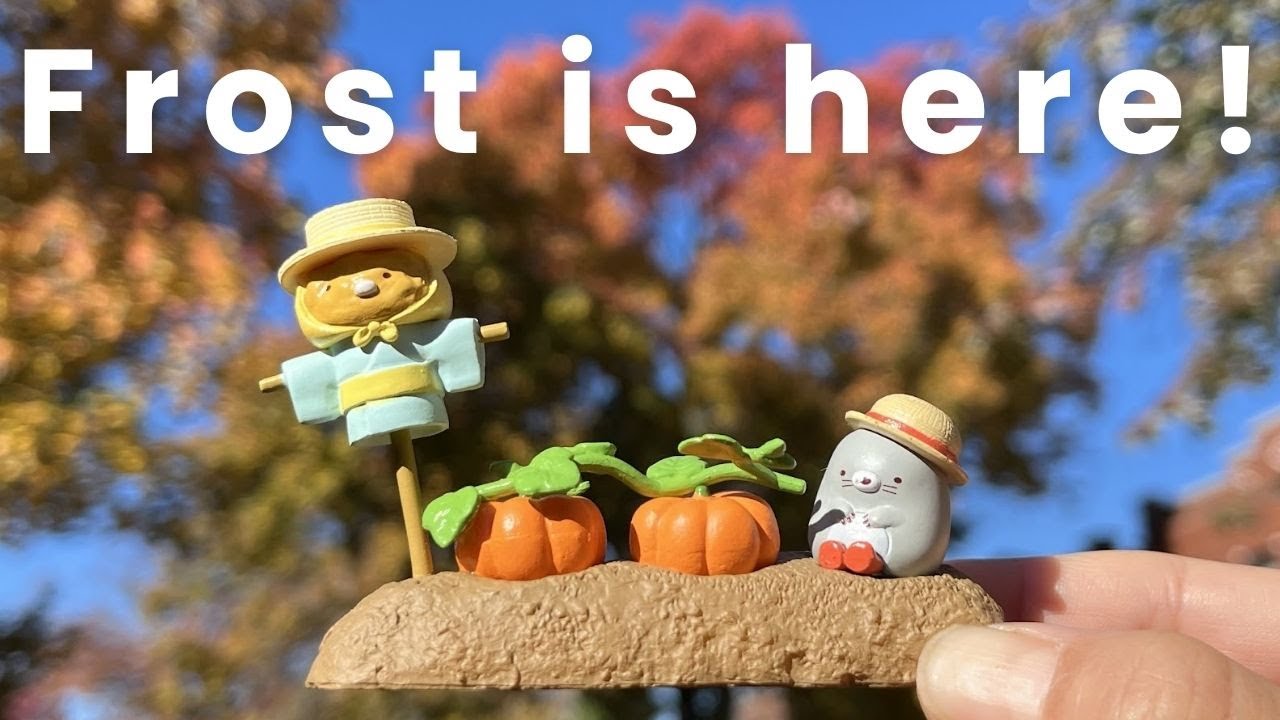 URBAN GARDEN VLOG | Frost is here!