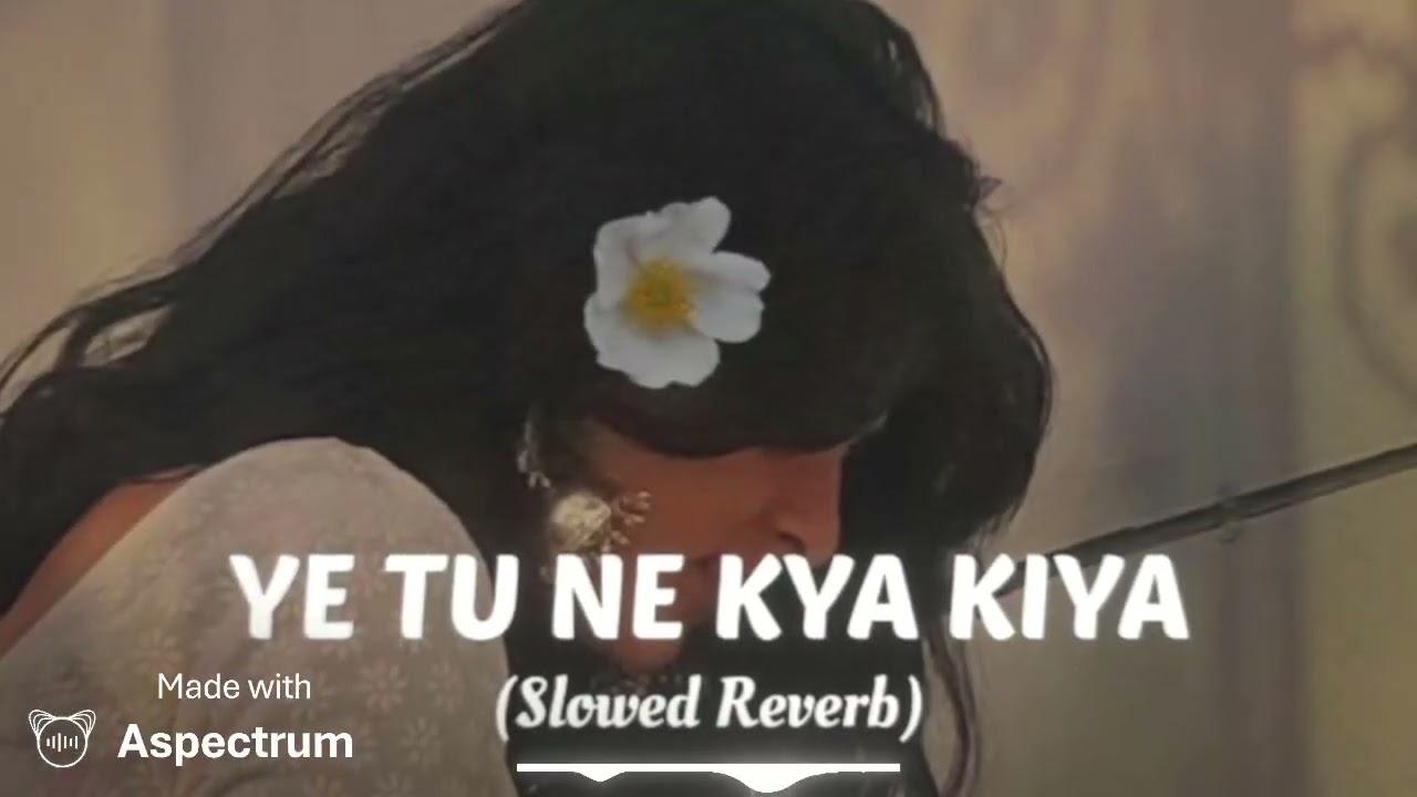 Ye Tu Ne Kya Kiya 💔 | Slowed Reverb | Sad Feelings Song | 2026(dsk vibes)