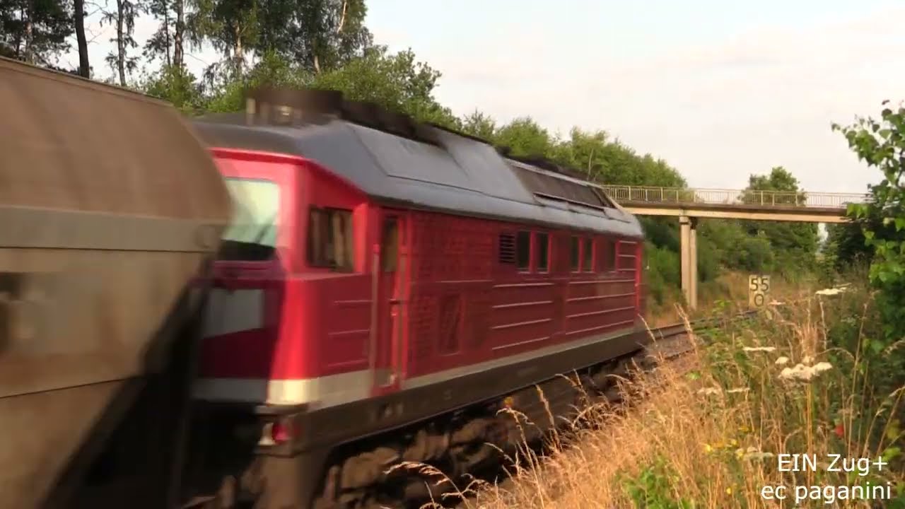 Nur EIN Sechsachser- Gro&szlig;diesel reicht f&uuml;r diesen Getreidezug nicht aus!  Man braucht ZWEI 230/232!
