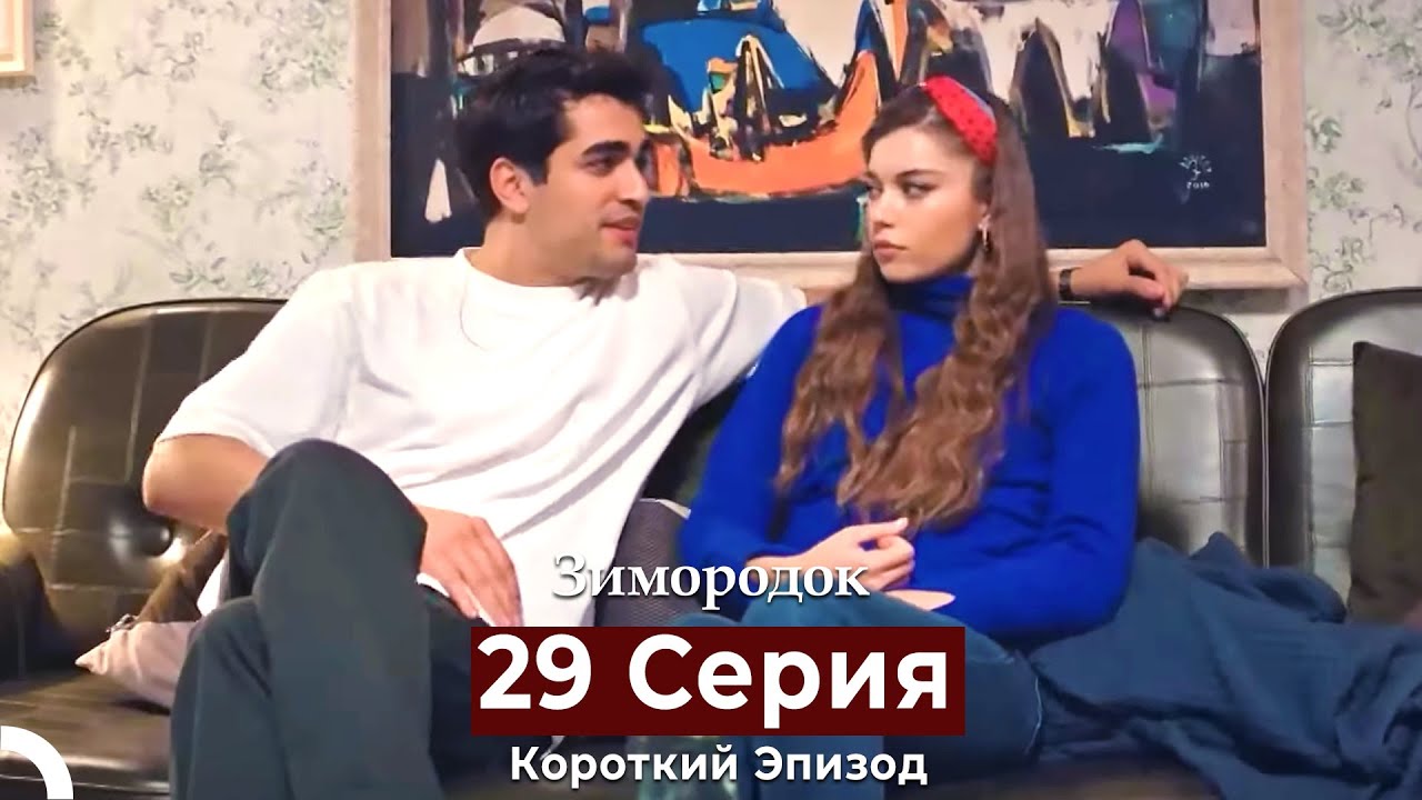 Зимородок 29 Cерия (Короткий Эпизод) (Русский дубляж)