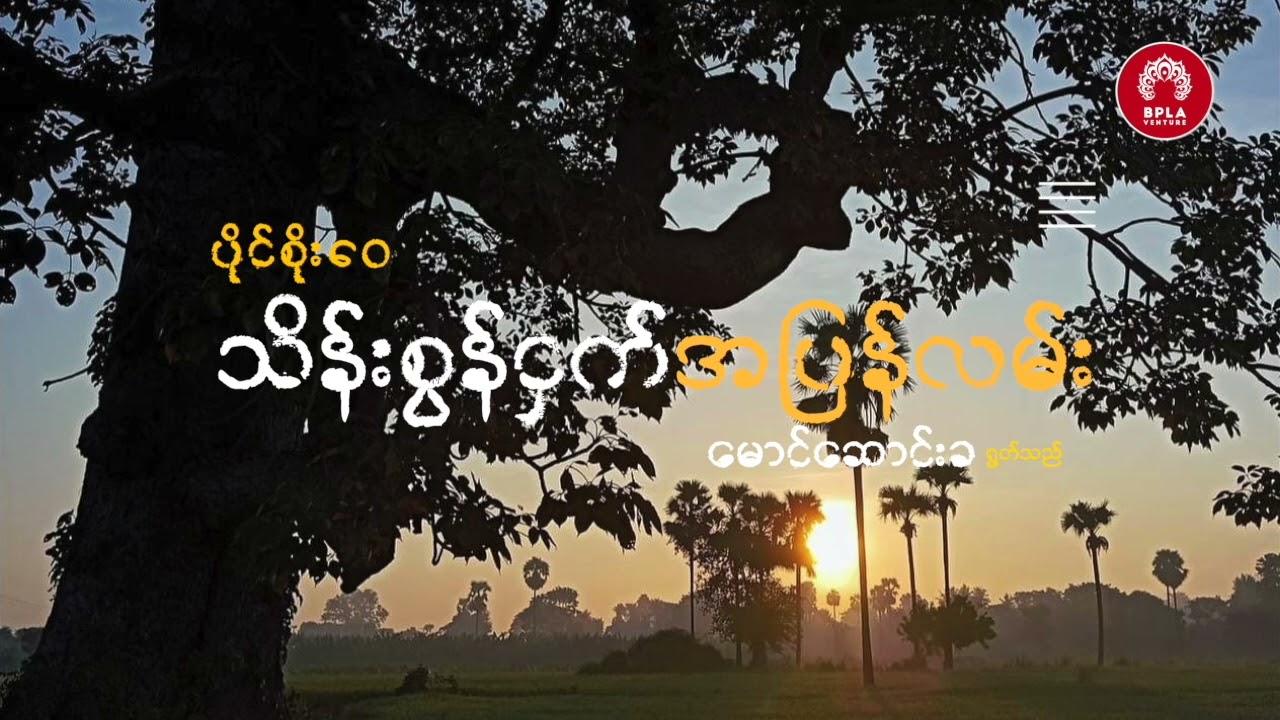 သိန်းစွန်ငှက်အပြန်လမ်း - ပိုင်စိုးဝေ