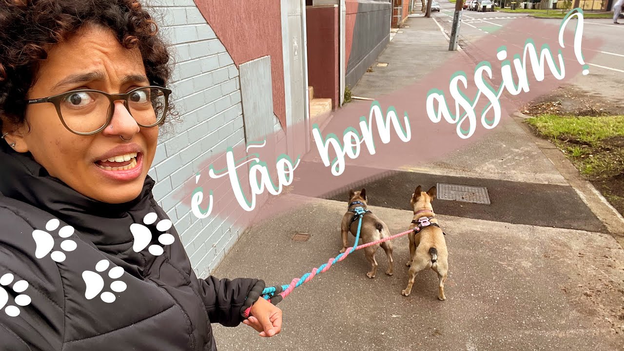 COMO &Eacute; SER PET SITTER NA AUSTR&Aacute;LIA | Dica de Emprego na Austr&aacute;lia para Brasileiros