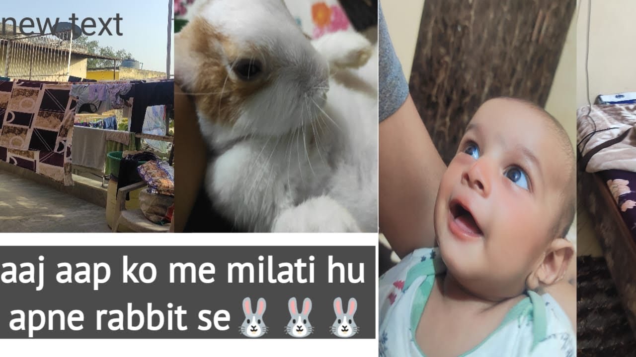 Aaj aap milo mere rabbo se🐰8-vedio#subscribe #vlog#like #baby #share #coment #rabbit #dailyvlog 
