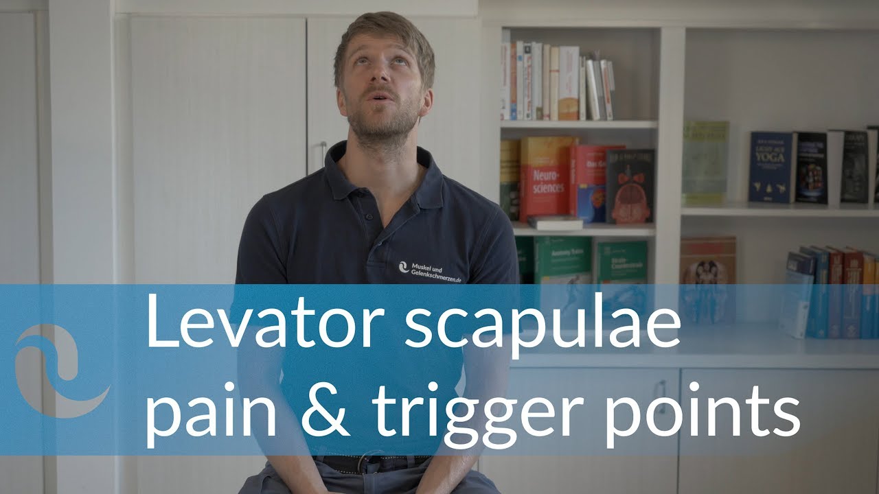 Levator Scapulae Pain & Trigger Point Activation