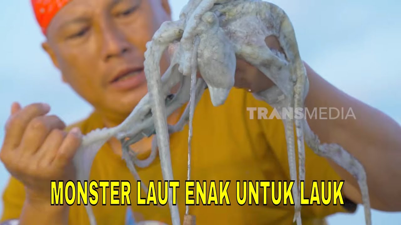 Pampi Tinta Gurita Bumbu Ketumbarl | JEJAK SI GUNDUL (29/01/26)