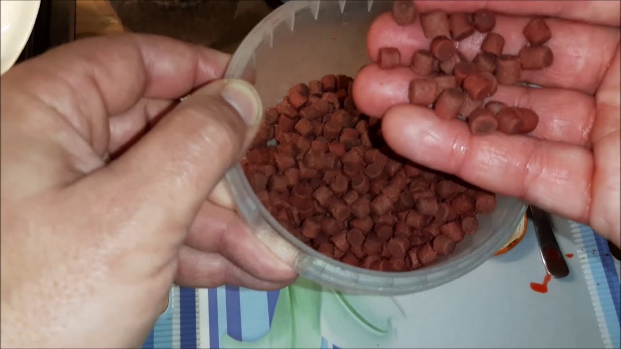 🔴RYBAŘENÍ -  Domácí výroba měkčených pelet na lov ryb, plavaná feeder