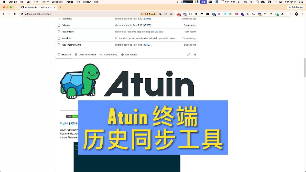 Atuin 终端历史同步