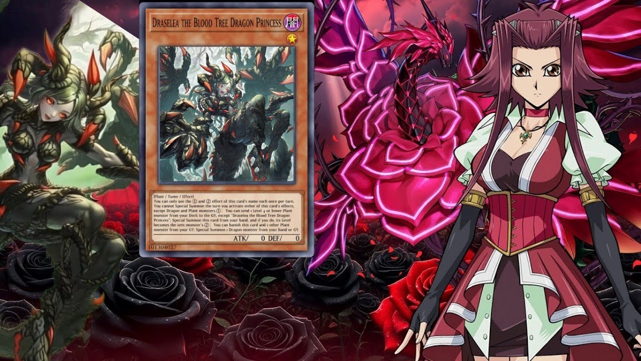 🌹 ローズドラゴンデッキ [BLZD] | MDPRO3 血樹竜姫ドラセリア - 🥀⚡ #YuGiOhDeck