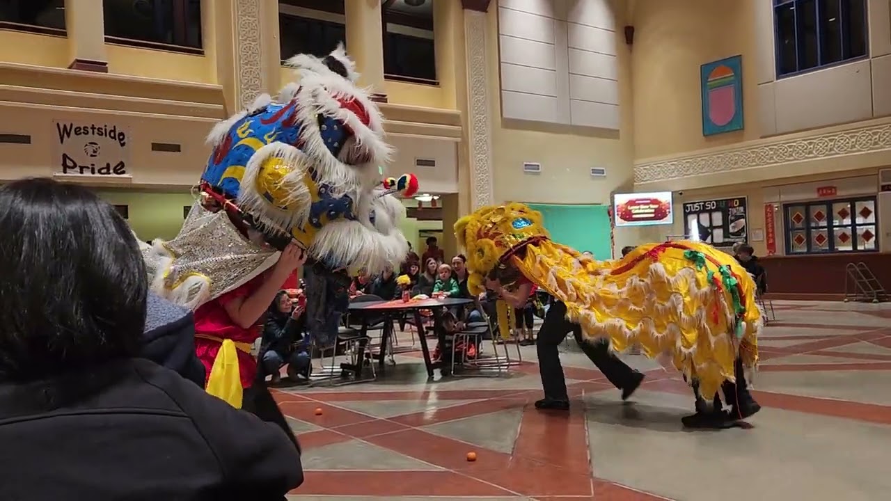 Lion dance at West Seattle HS Lunar New Year celebration