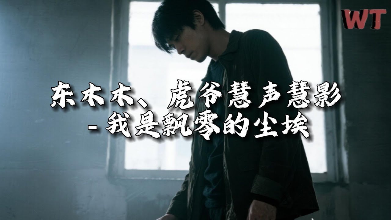 虎爷\东木木 - 我是飘零的尘埃『我是迷航的小船，海浪是唯一的关怀。』【动态歌词MV】