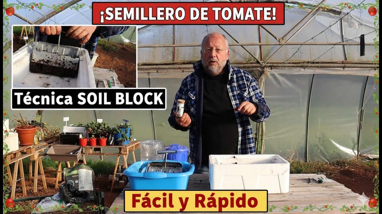 🍅 Semilleros de Tomate con SOIL BLOCK