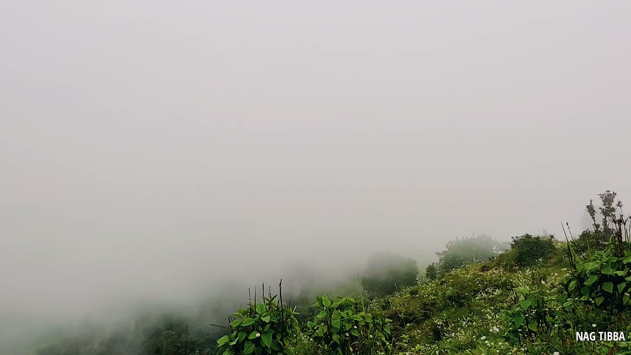 Nag Tibba Base Camp,Uttarakhand, India