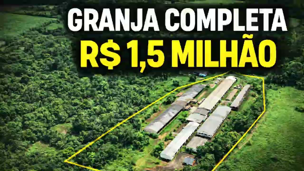 Granja à venda por R$ 1,5 milhão – Precisa de melhorias