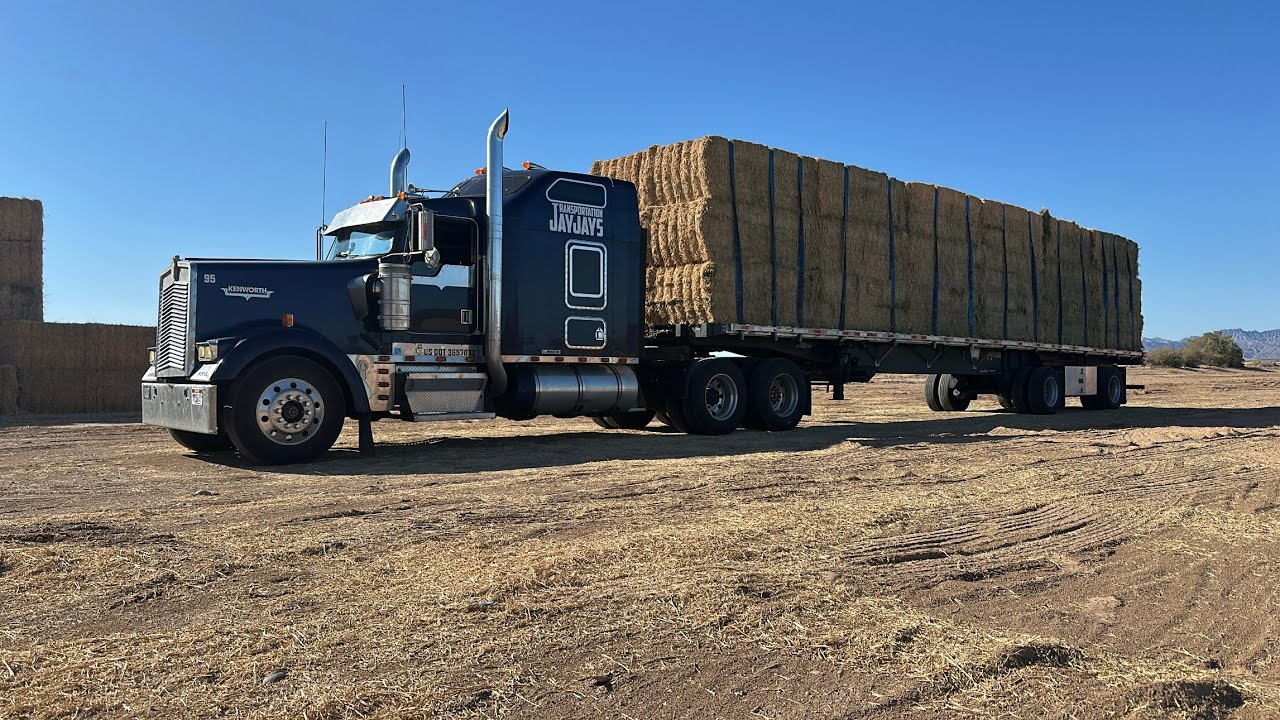 DOING WHATEVER IT TAKES TO SURVIVE|OWNER OPERATOR|CAT 3406E|