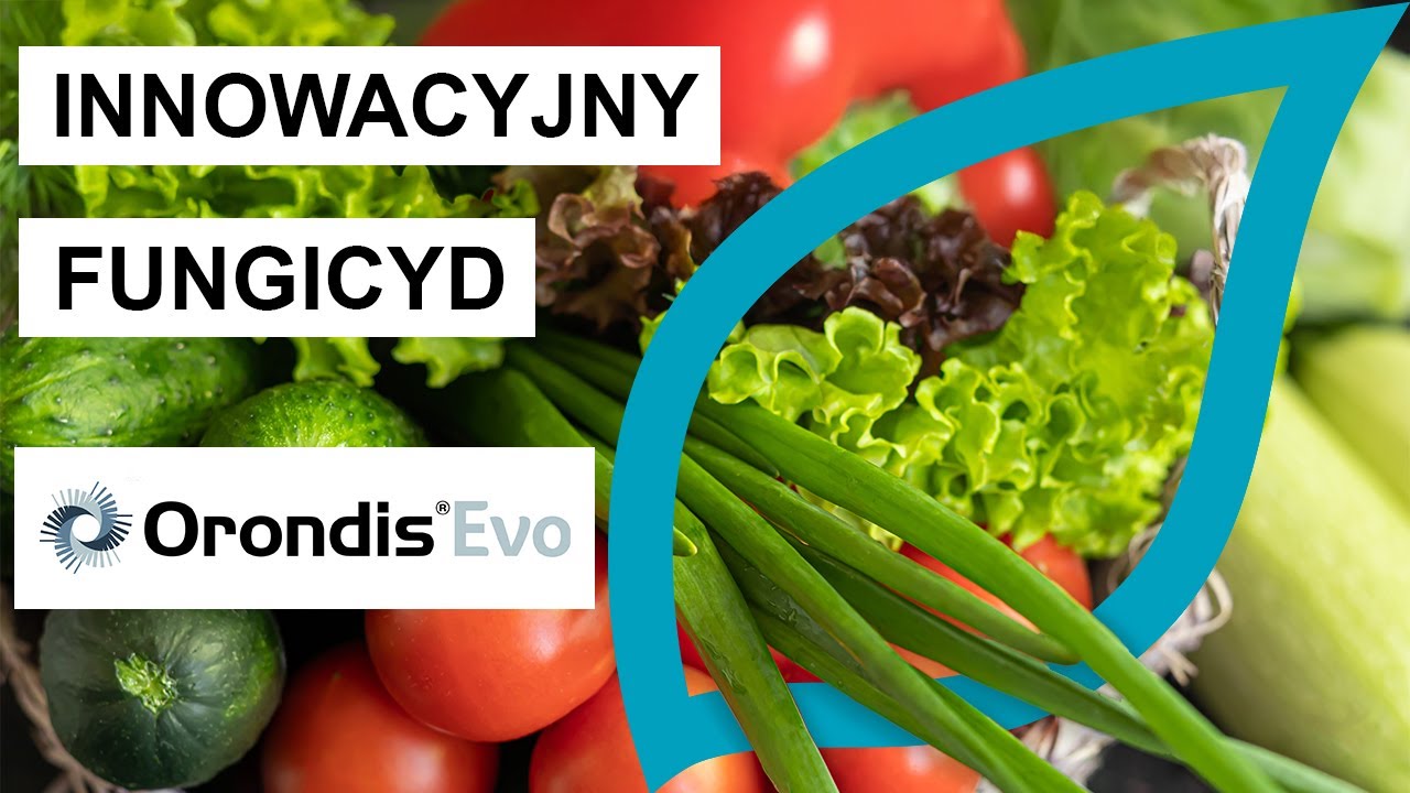 Orondis Evo - innowacyjny fungicyd o szerokim spektrum działania, do ochrony wielu gatunk&oacute;w roślin