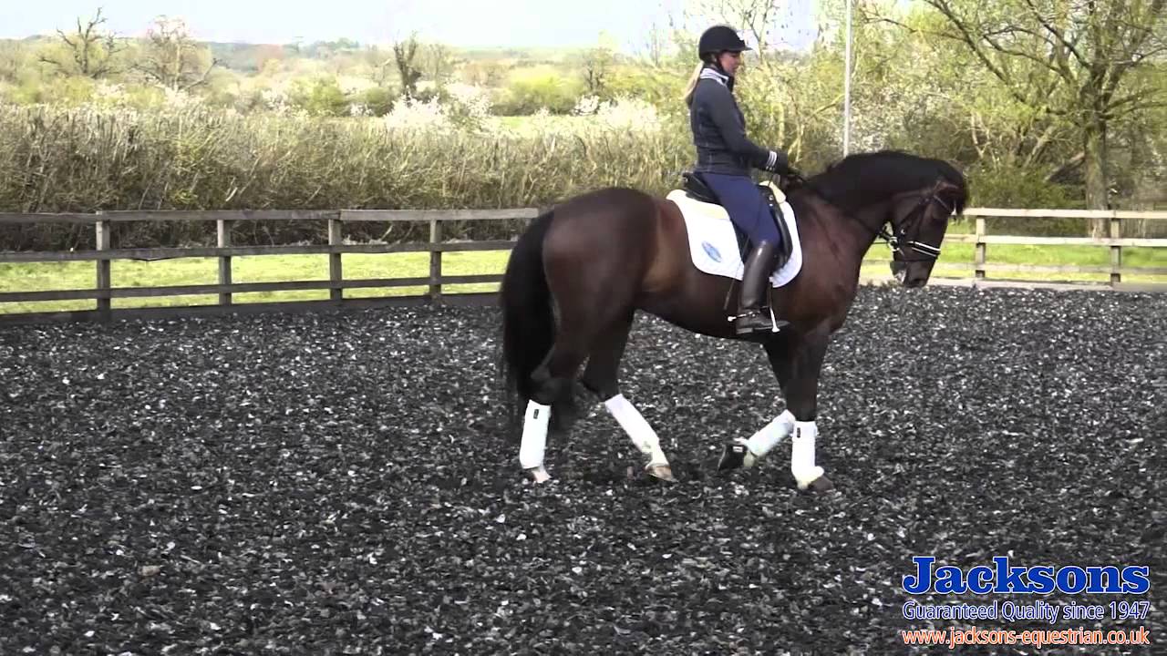 How to teach your horse the pirouette in walk by Hannah Biggs | Jacksons Fencing
