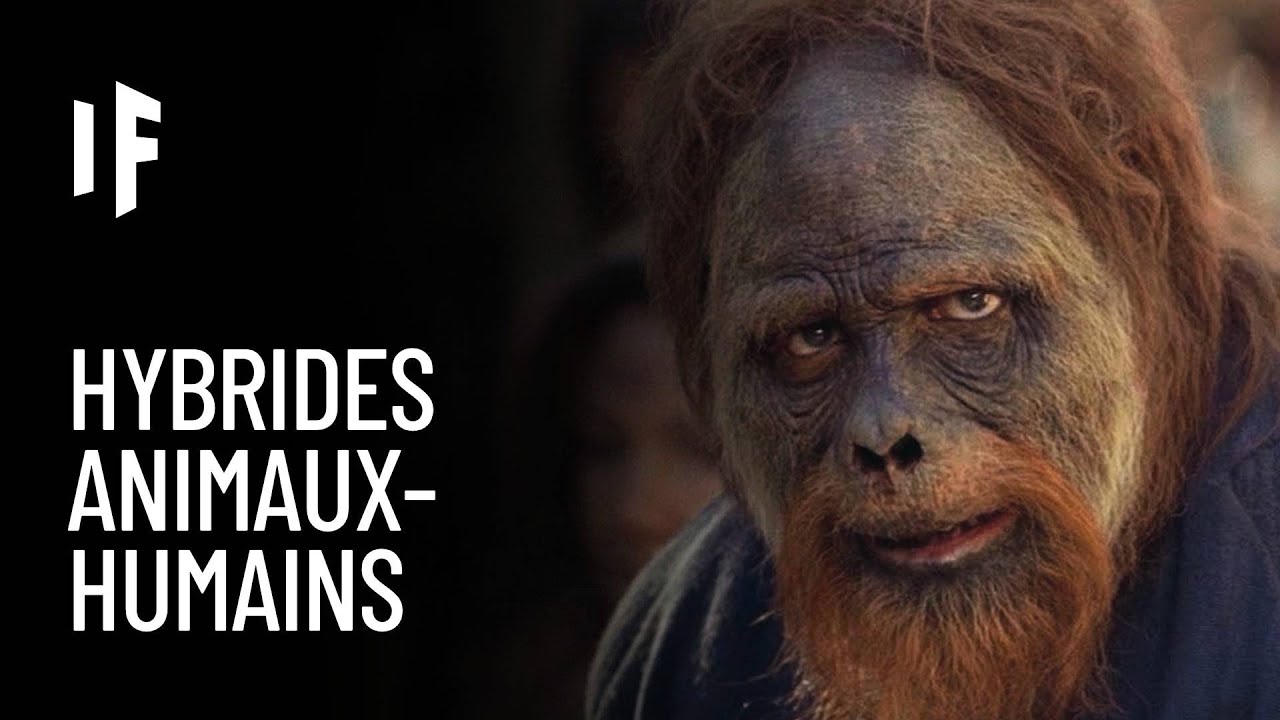Et si on créait des hybrides homme-animal ?