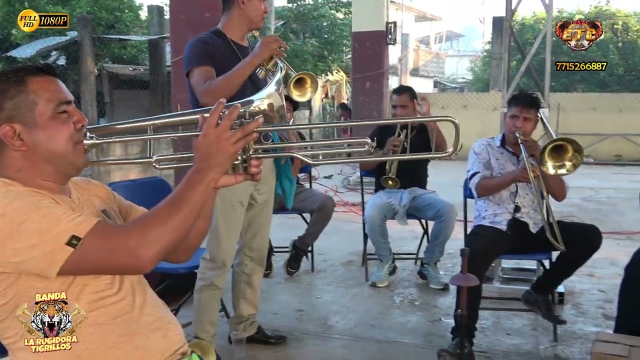 🎺UN RECUERDO DE LA RUGIDORA BANDA TIGRILLOS 🐯DE PAHUATLAN HUEJUTLA HIDALGO