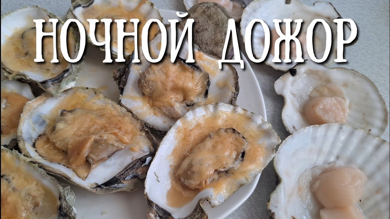 Сахалин - ночной сбор морепродуктов, гребешок и устрицы #сахалин #рыбалка #fishing #море #отдых 