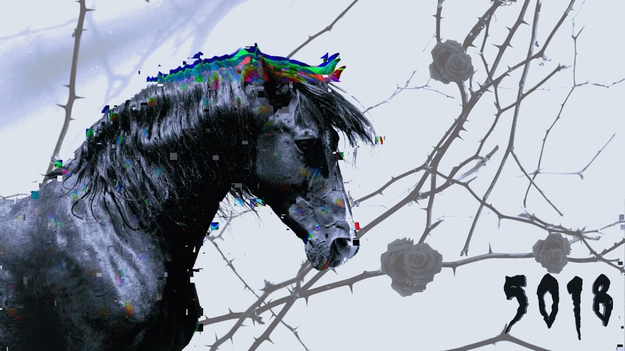 5018 - Czarny Koń