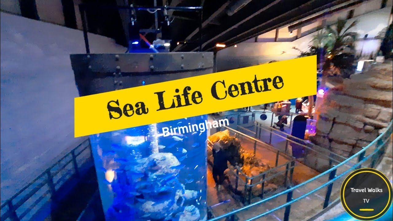 Sea Life Centre Birmingham Walk - November 2021