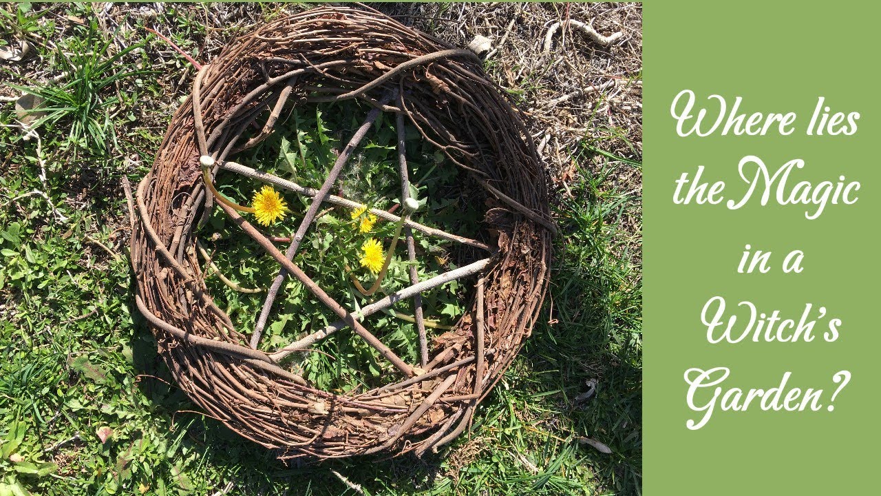 3 Important Considerations Before Creating Your Own Magical Garden