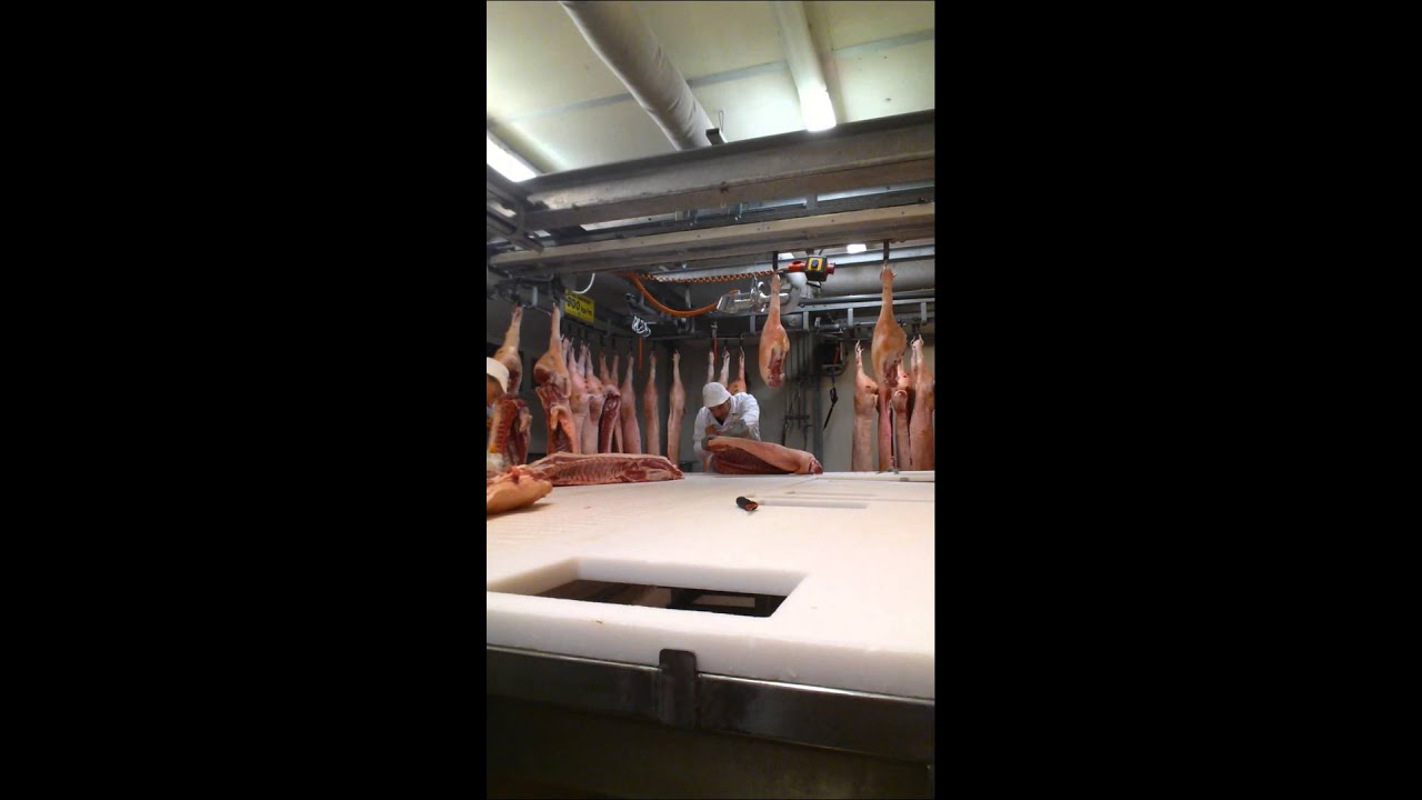 Schweine Zerlegen 2018 Fleisch Germany