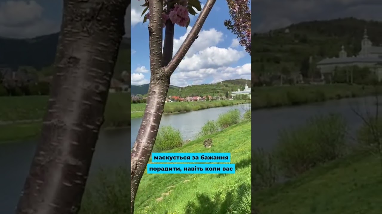 Він теж нам довірився