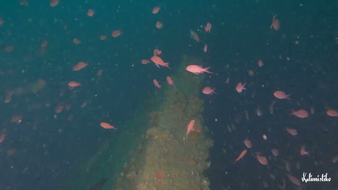 Inmersión de buceo 