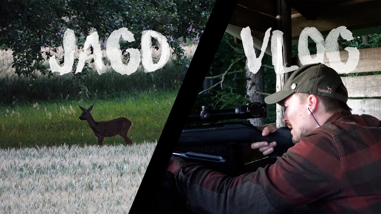 Gem&uuml;tlicher Abendansitz (Jagen&Kochen) | Jagd Vlog [4k]