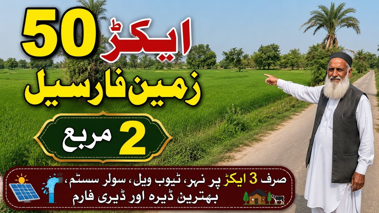 50 Acre Agricultural Land for Sale in Punjab, Pakistan | Prime Investment | Land for Sale | Ep 247