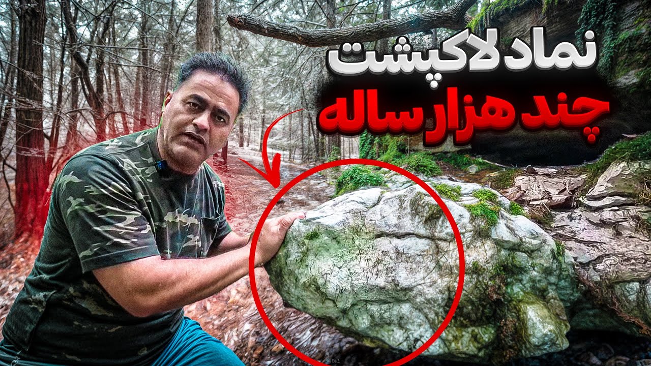راز نماد چند هزار ساله فاش شد!  | بررسی نماد لاکپشت به صورت کامل